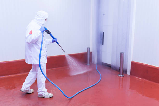 Pre-Holiday Cleaning in Hillandale, MD